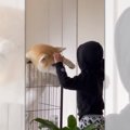 記念すべき瞬間！息…