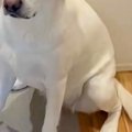 仕事に向かう直前→な…