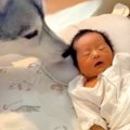 赤ちゃんが生まれる…