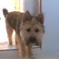 お母さんが大好き過…