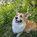 春～夏にかけて絶対…
