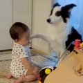 『多分、前世は人間…
