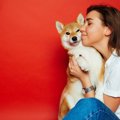 7割の飼い主が愛犬の…