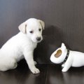 こんなに変わるの！…