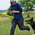 「警察犬訓練士」の…