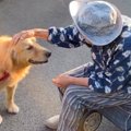 散歩中に『おばあち…