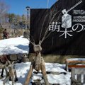 【山梨・北杜市】萌…