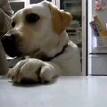 時間ですよ？ご飯の…