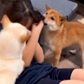 女の子が筋トレを始…