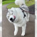 ブルブル全開！「ハ…