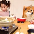 犬が家族と一緒に食…