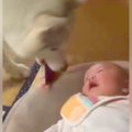 泣き始めてしまった…