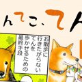 てんてこ、てん。【…