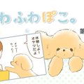 ふわふわぽこ。【第1…