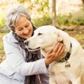 犬と人の『相性リス…