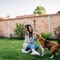 犬にとっての『不幸…
