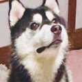『破壊神』と呼ばれ…