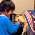 小さい頃、大型犬に…