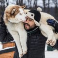 大型犬のおんぶ、や…