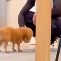 洗濯機が故障したの…