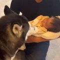 赤ちゃんだと思って…
