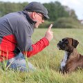 犬の知識がない飼い…