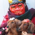 犬がいる家庭で節分…