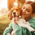 犬を危険にさらして…