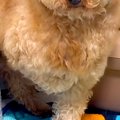 人が怖くて震える『…