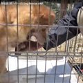 保健所に収容された…