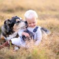 犬がする優しい行動…