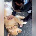 『新聞配達のおじさ…