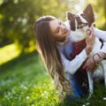 犬にとっては迷惑！N…