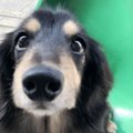【Laylaの個別リーデ…