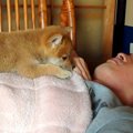 『パパ、まだ起きな…