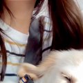 大型犬パピーを飼っ…