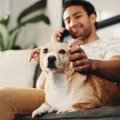 犬を『人間扱い』絶…