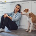 愛犬にイライラして…