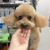 たまにはこんなベー…