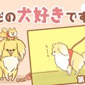 ただの犬好きです。…