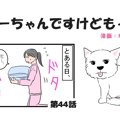 ちーちゃんですけど…