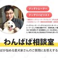 多頭飼いでチワワだ…