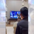 TVが見たい飼い主さ…