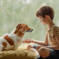 犬が見せる『家族想…