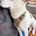 車のワイパーを交換…