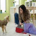 犬を初めて飼う人が…