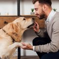 犬のしつけでやって…