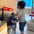 赤ちゃんが『散歩か…