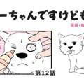 ちーちゃんですけど…