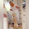 犬が好きじゃない『9…